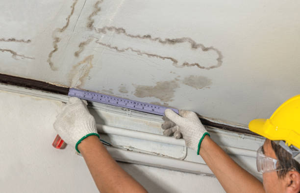 Reliable Mold Remediation contractor in Gray, ME by Local Water Damage Repair
